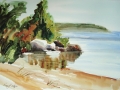 Fischer Creek